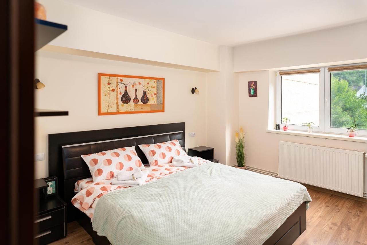 Metropolitan Wildscape View Apartment Brasov Exterior photo